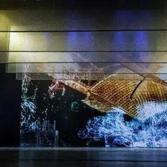 国产精品视频第一区,引领潮流的视听盛宴