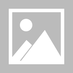 国产在线黄色,暗流涌动的网络世界